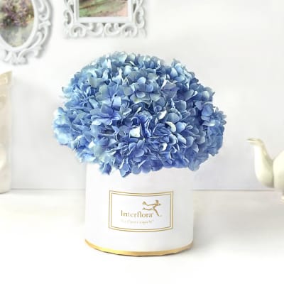 Online Flower Delivery in Ahmedabad