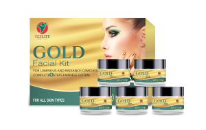 Yeslife wellness india limited